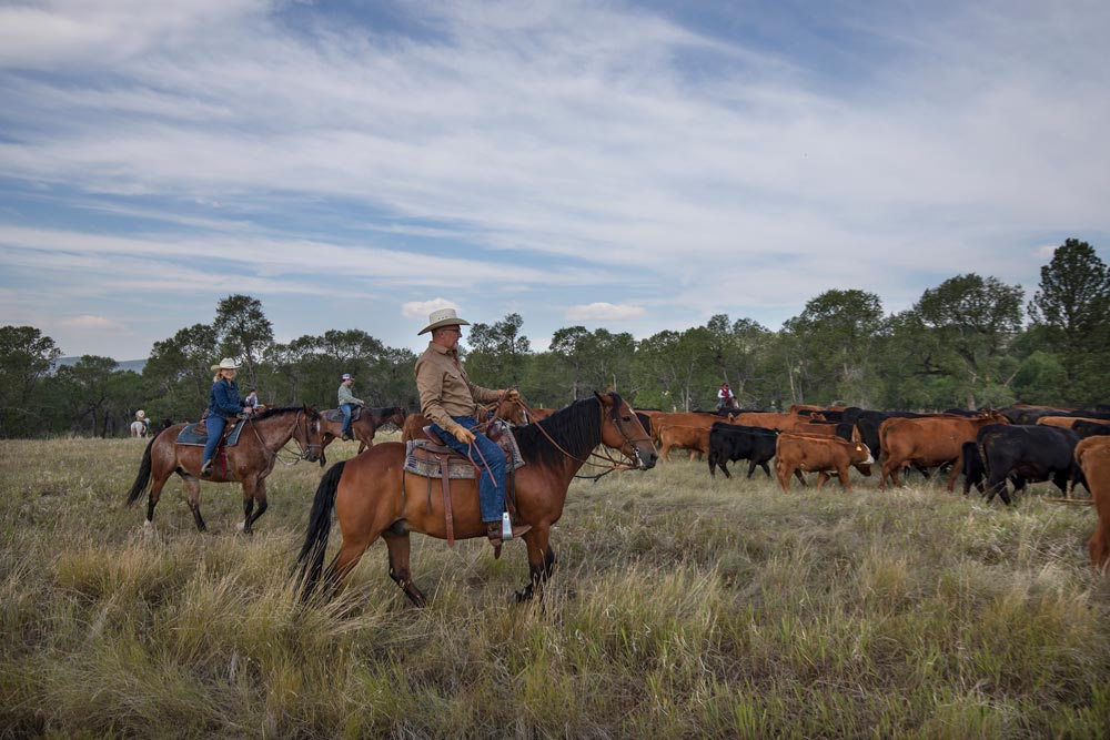 Ranch Image For Circle Bar Guest Ranch