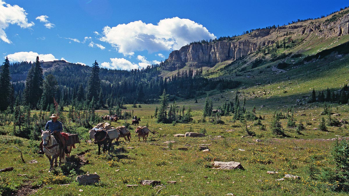 Ranch Image For JJJ Wilderness Ranch