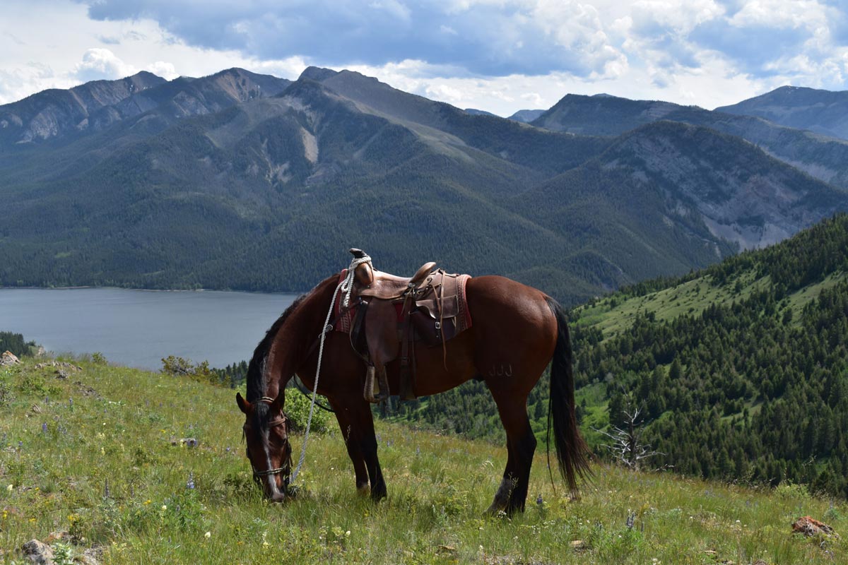 Ranch Image For JJJ Wilderness Ranch