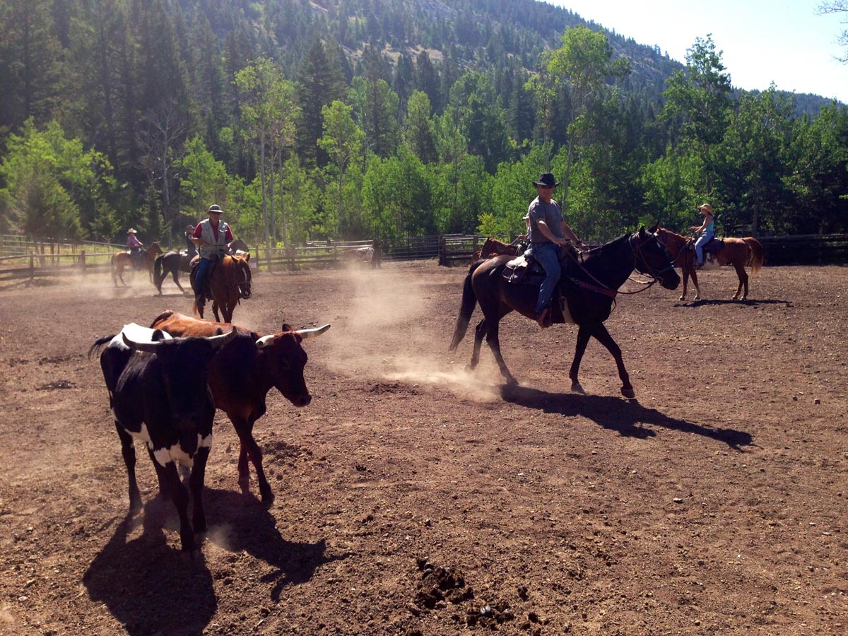 Ranch Image For JJJ Wilderness Ranch