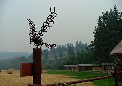Featured Ranch Image for Blacktail Ranch