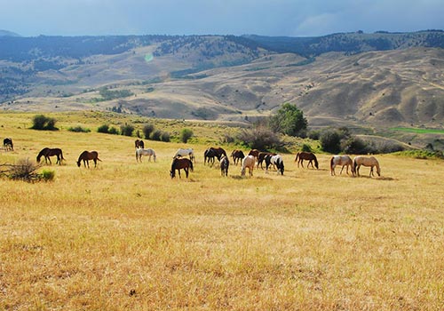 Featured Ranch Image for Hubbard's Six Quarter Circle Ranch