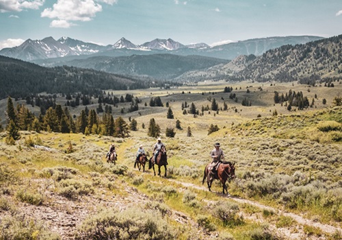 Featured Ranch Image for Nine Quarter Circle Ranch