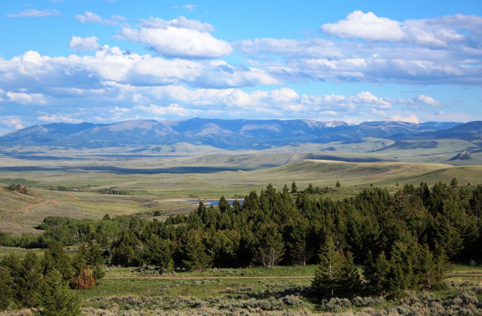 Welcome to Big Sky Country | Bonanza Creek Guest Ranch