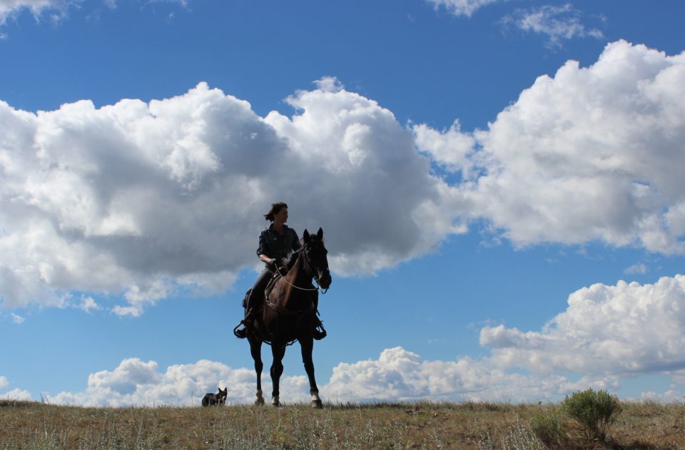 Authentic Western Vacation in Montana