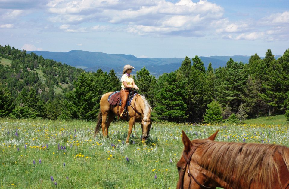 Peaceful afternoon in Central Montana