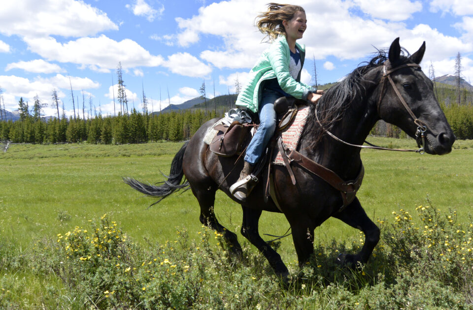 Montana's landscape makes the perfect