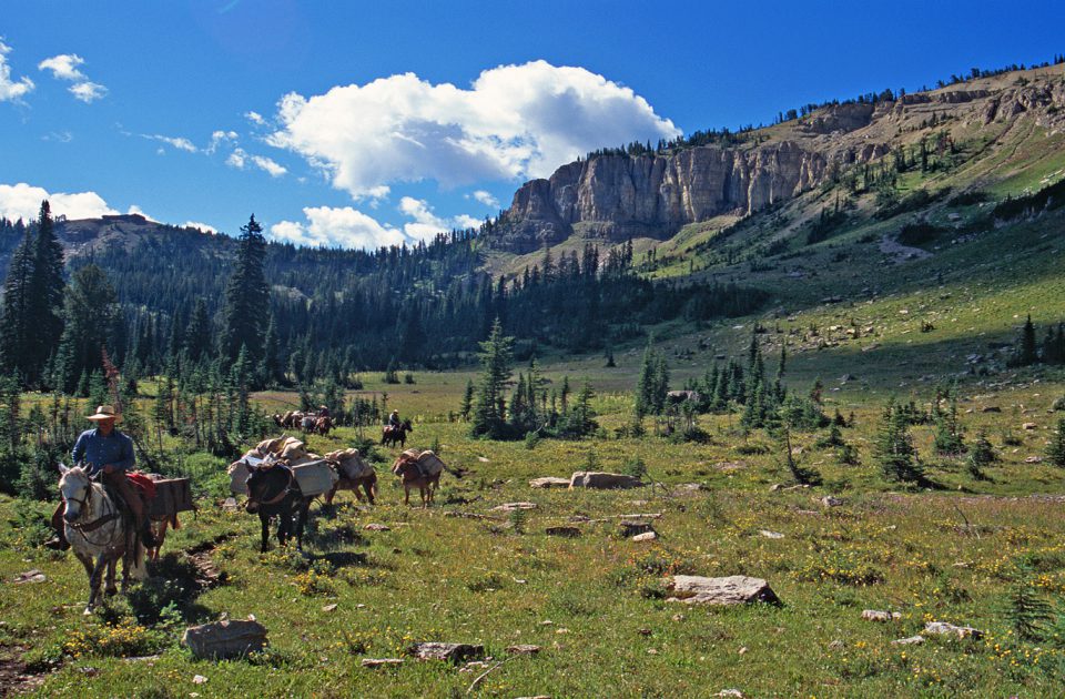 The Bob Marshall Wilderness is just outside our back door