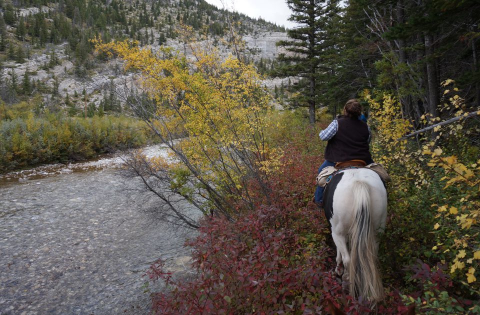 Horseback riding vacation Choteau Montana