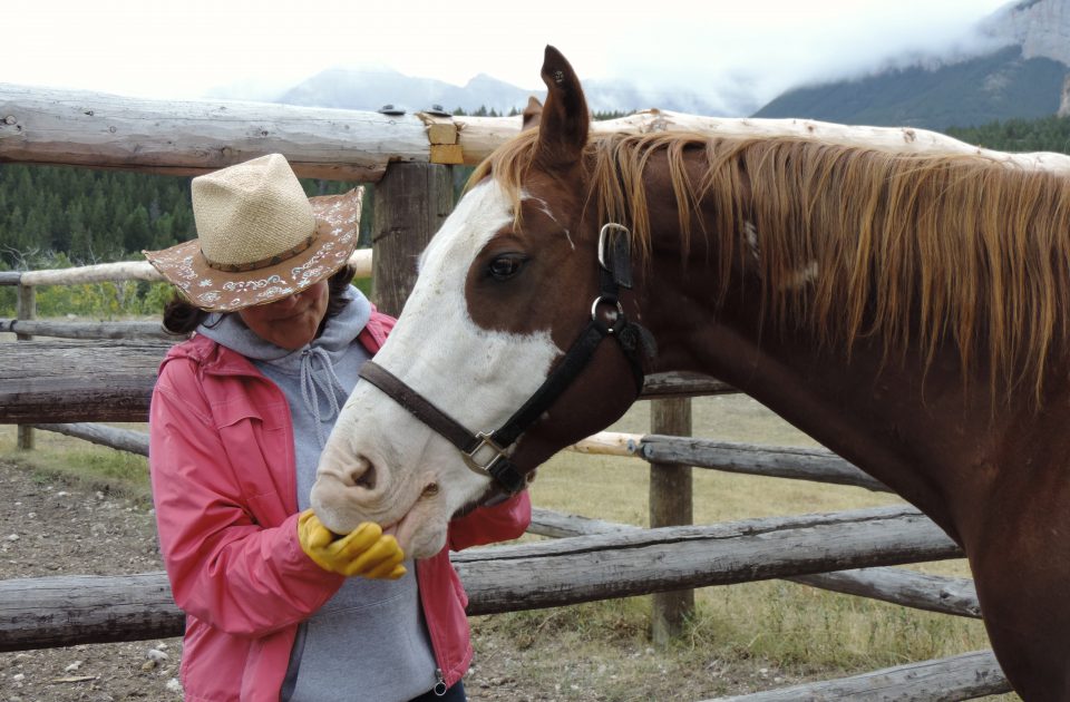 Horsemanship at Deep Canyon Guest Ranch