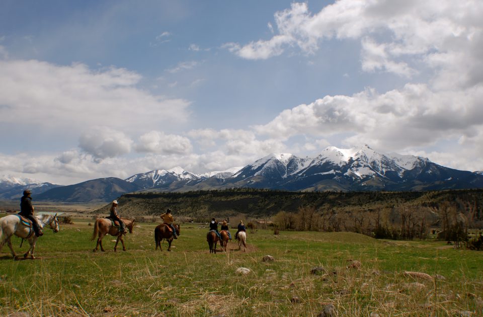 Trail Ride through Montana's Paradise Valley