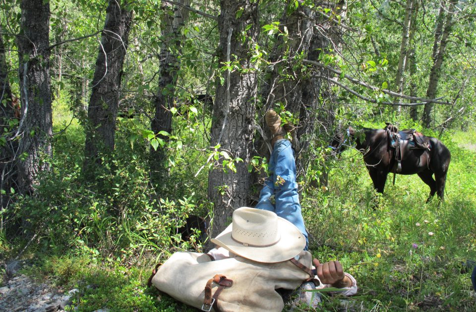 Immerse yourself in nature at Deep Canyon Guest Ranch