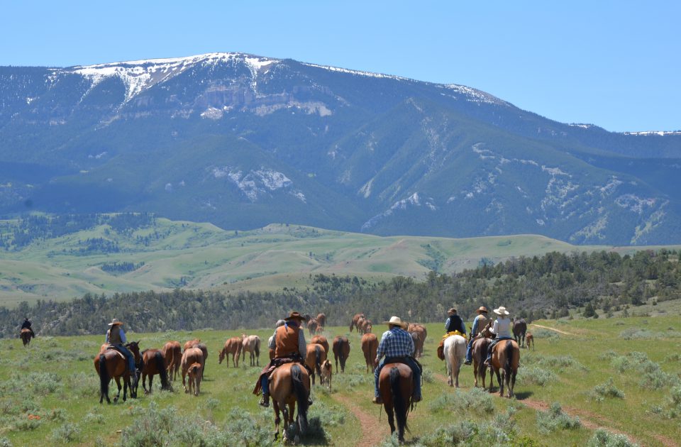 There's always work to be done on our guest ranch | Gathering Mares & Colts