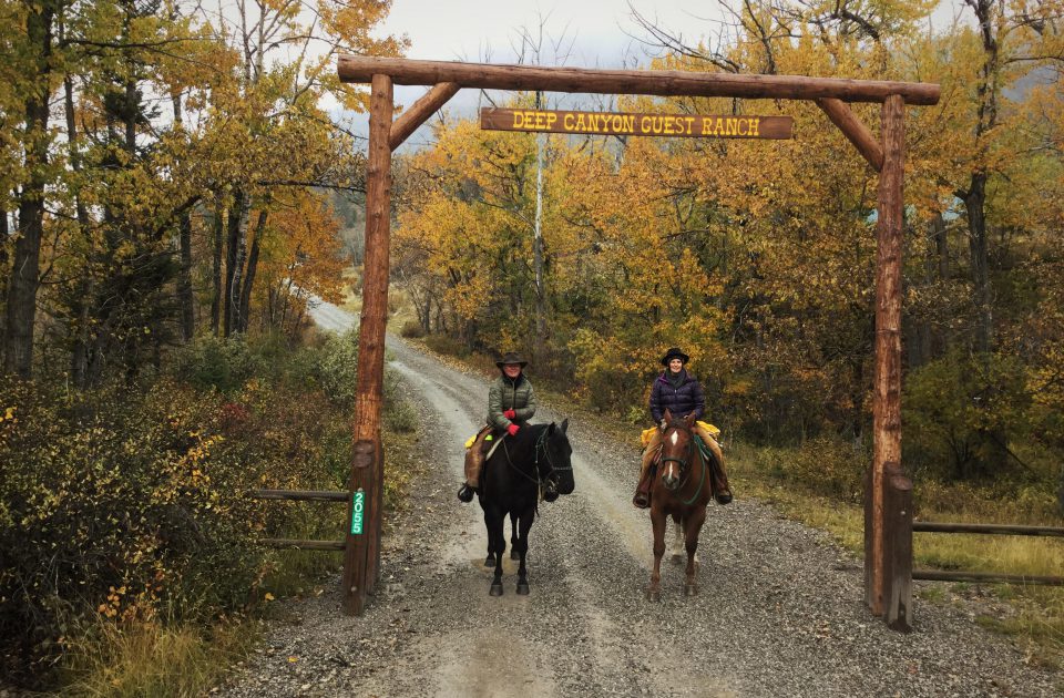 Welcome to the Deep Canyon Guest Ranch