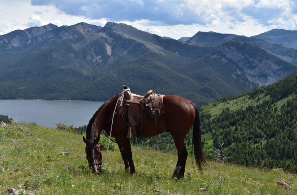 Rocky Mountain Front | Montana Dude Ranch Vacation
