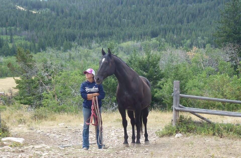 A partnership between horse and rider on Deep Canyon Guest Ranch