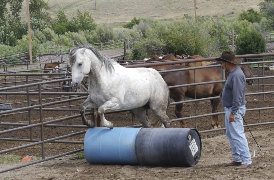 Horsemanship lessons are an important part of your dude ranch vacation