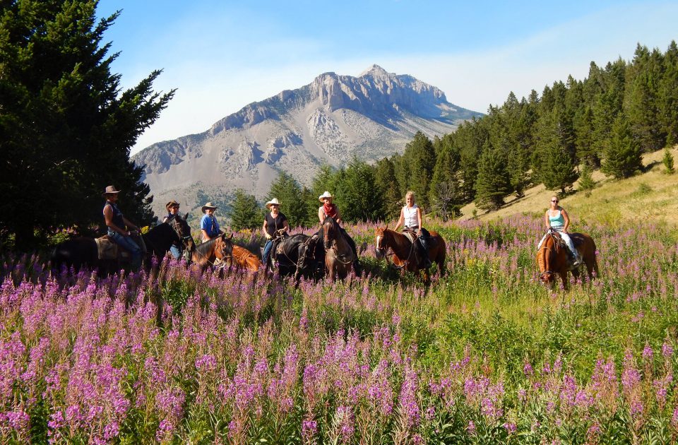 Horseback riding in Montana