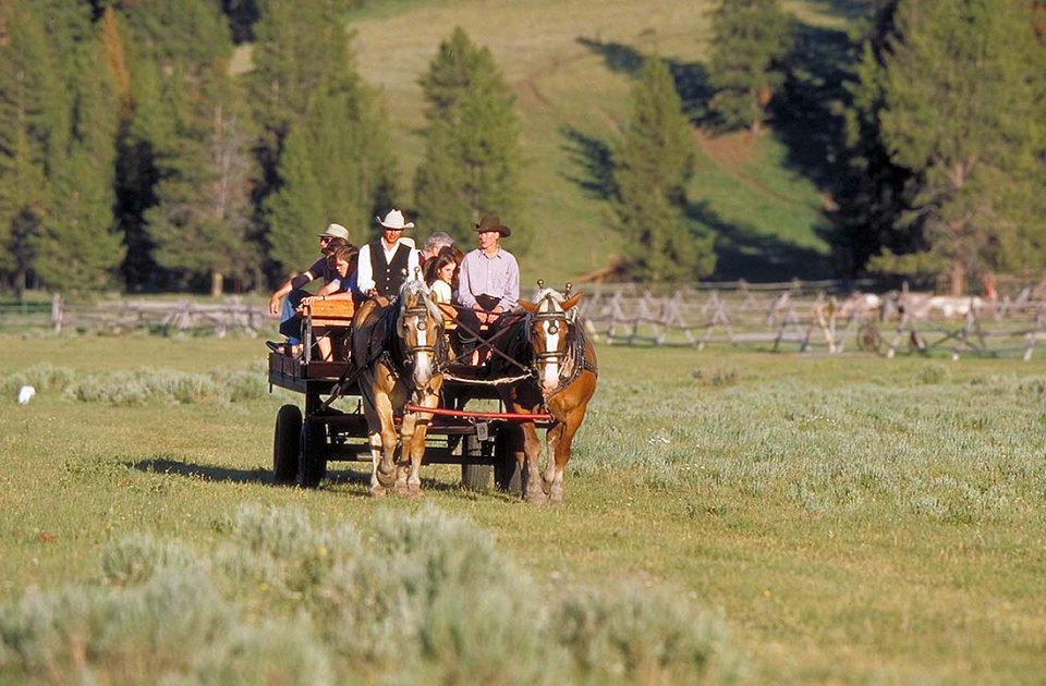 Wagon Ride | Activity at Nine Quarter Circle Ranch