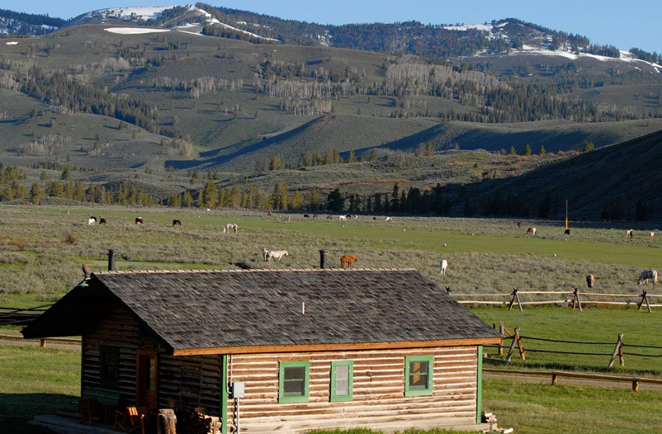 Nine Quarter Circle | Montana Dude Ranch Scenery