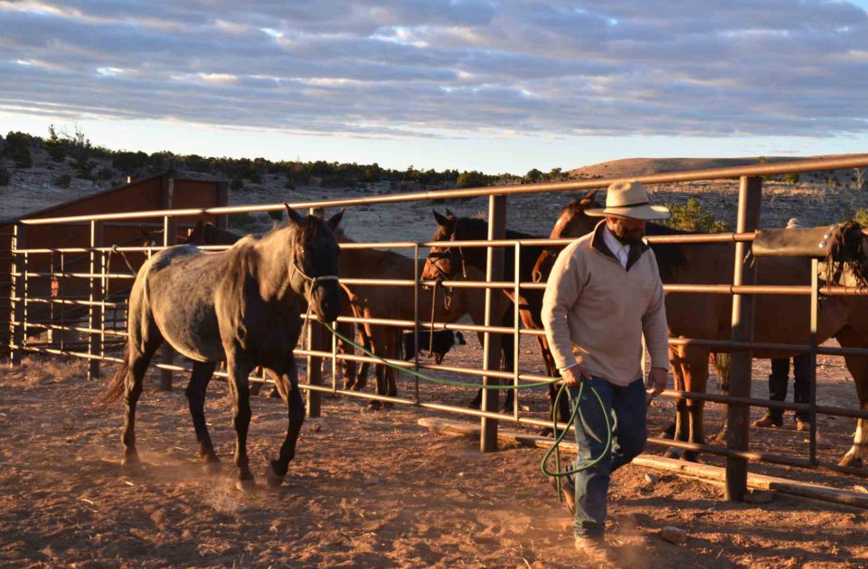 Ready for a day of trail rides and working cattle on Dryhead Ranch