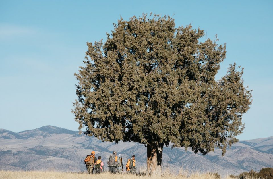 Go Hunting with Upper Canyon Outfitters