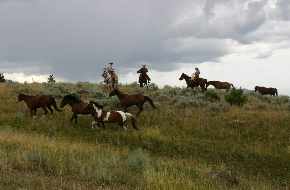 Mountain Sky Guest Ranch | Luxury Montana Vacation