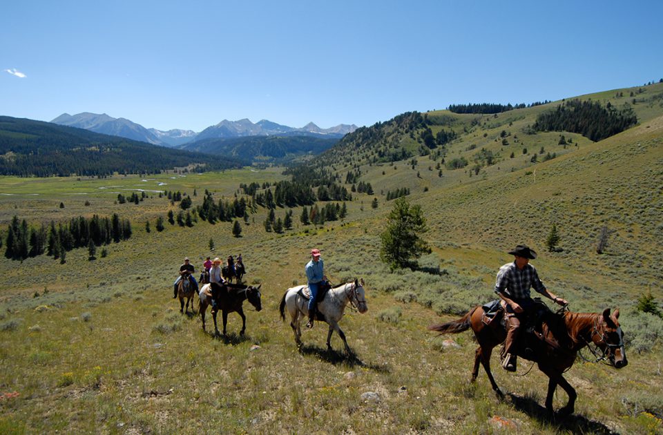 Horseback Riding at Nine Quarter Circle Ranch