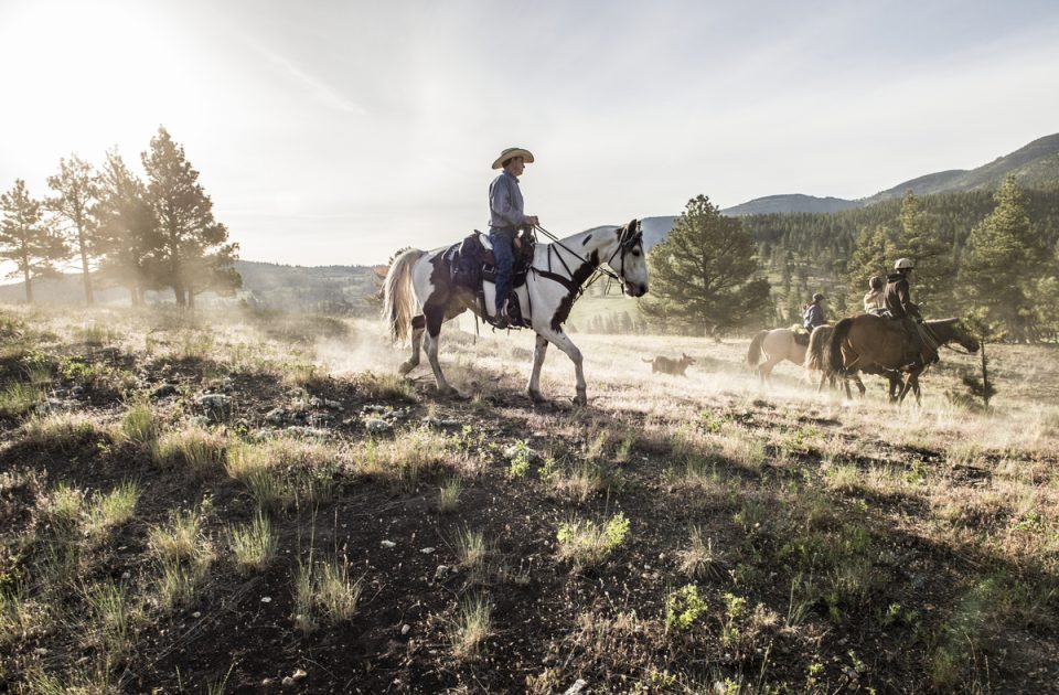 Horseback Riding at Blacktail Ranch