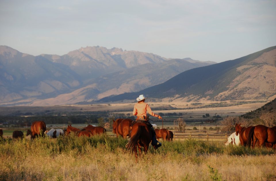 Vacation on a Montana Guest Ranch | Mountain Sky Ranch