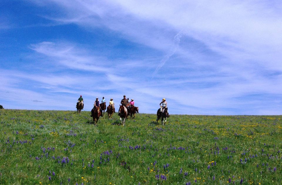 Trail Ride near Martinsdale, Montana in Central Montana