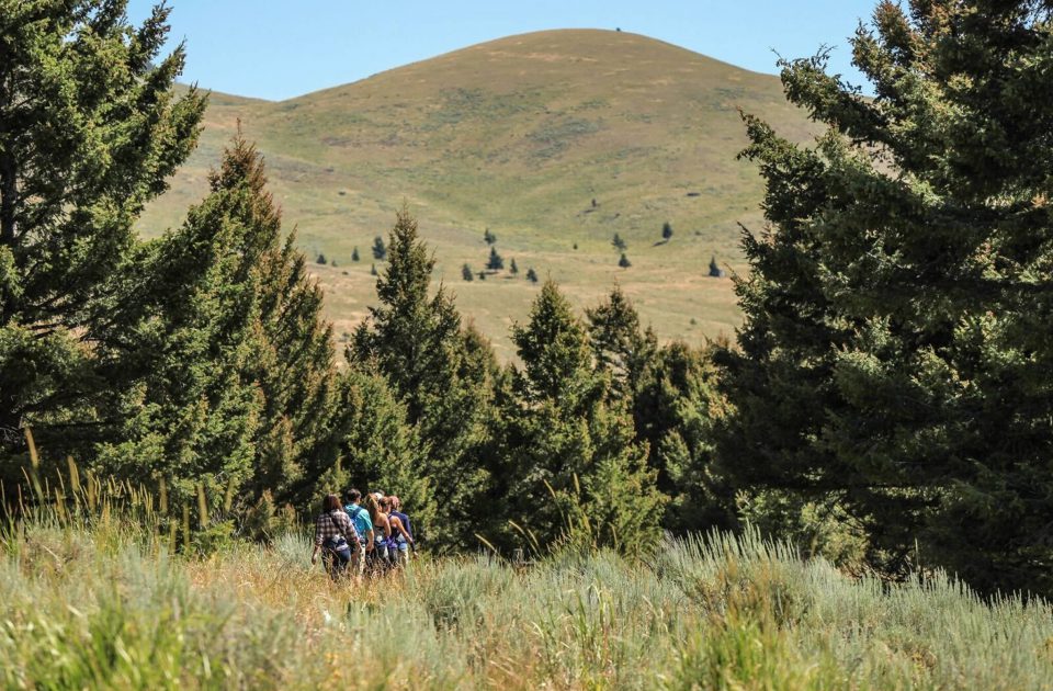 Hiking in Emigrant, Montana | Explore Paradise Valley