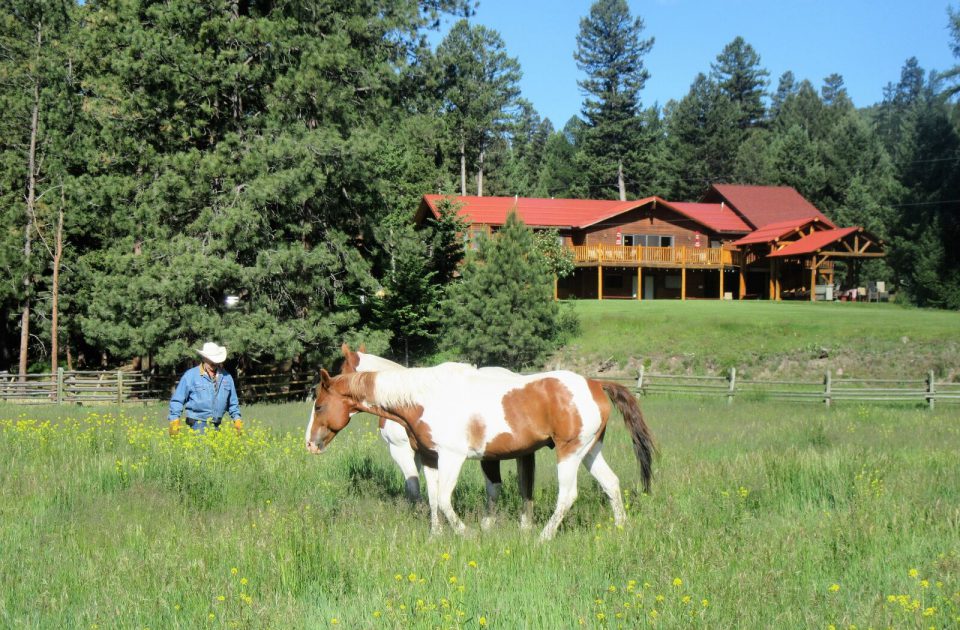 Rich's Montana Guest Ranch | Dude Ranch Vacation