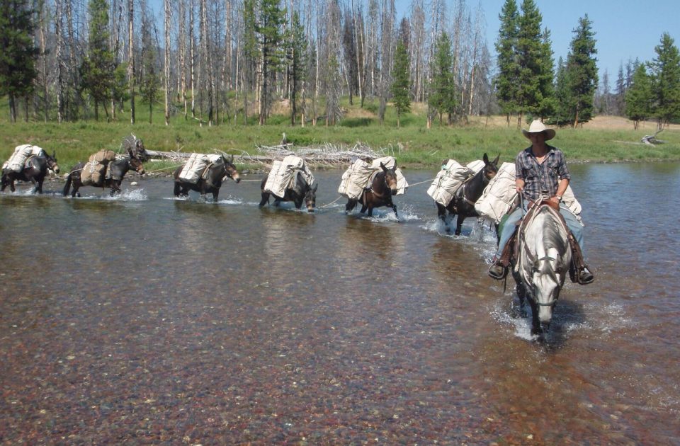 Pack string at a Montana dude ranch