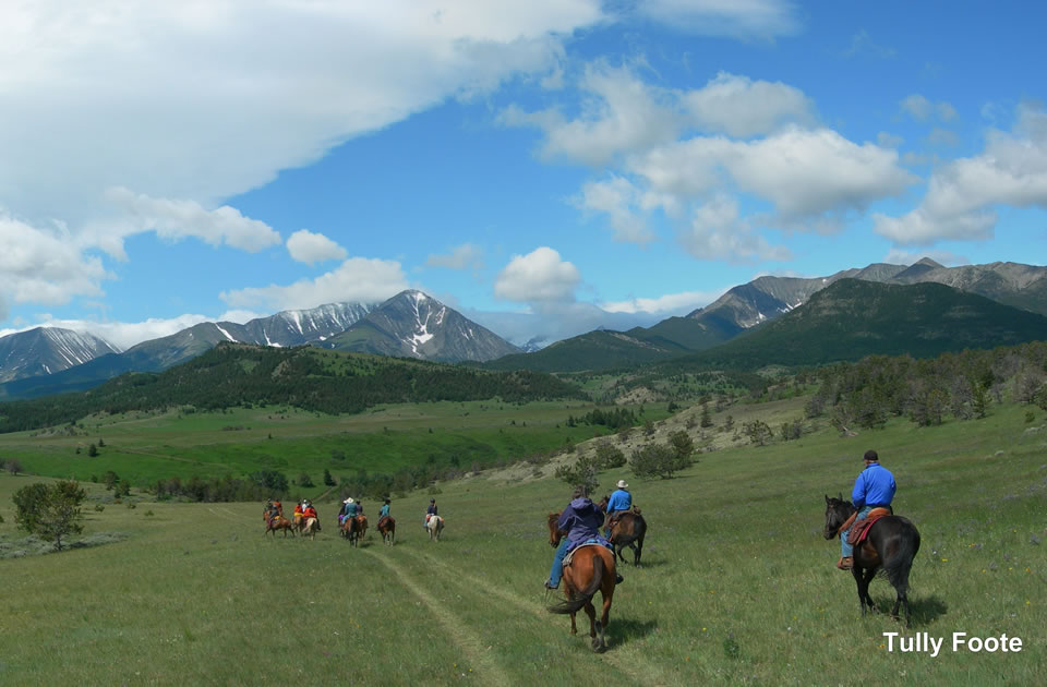 Sweet Grass Ranch Horseback Riding