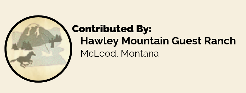 Hawley Mountain Guest Ranch (1)