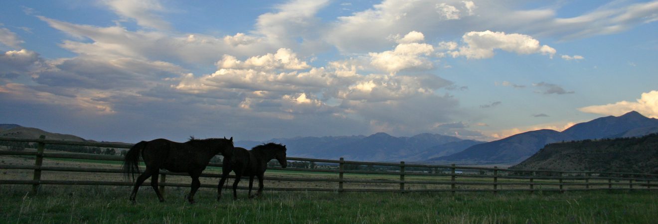 Horseback Riding on a Montana Dude Ranch