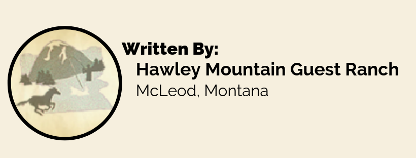 This post was written by Hawley Mountain Guest Ranch