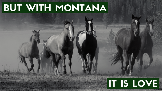 But With Montana