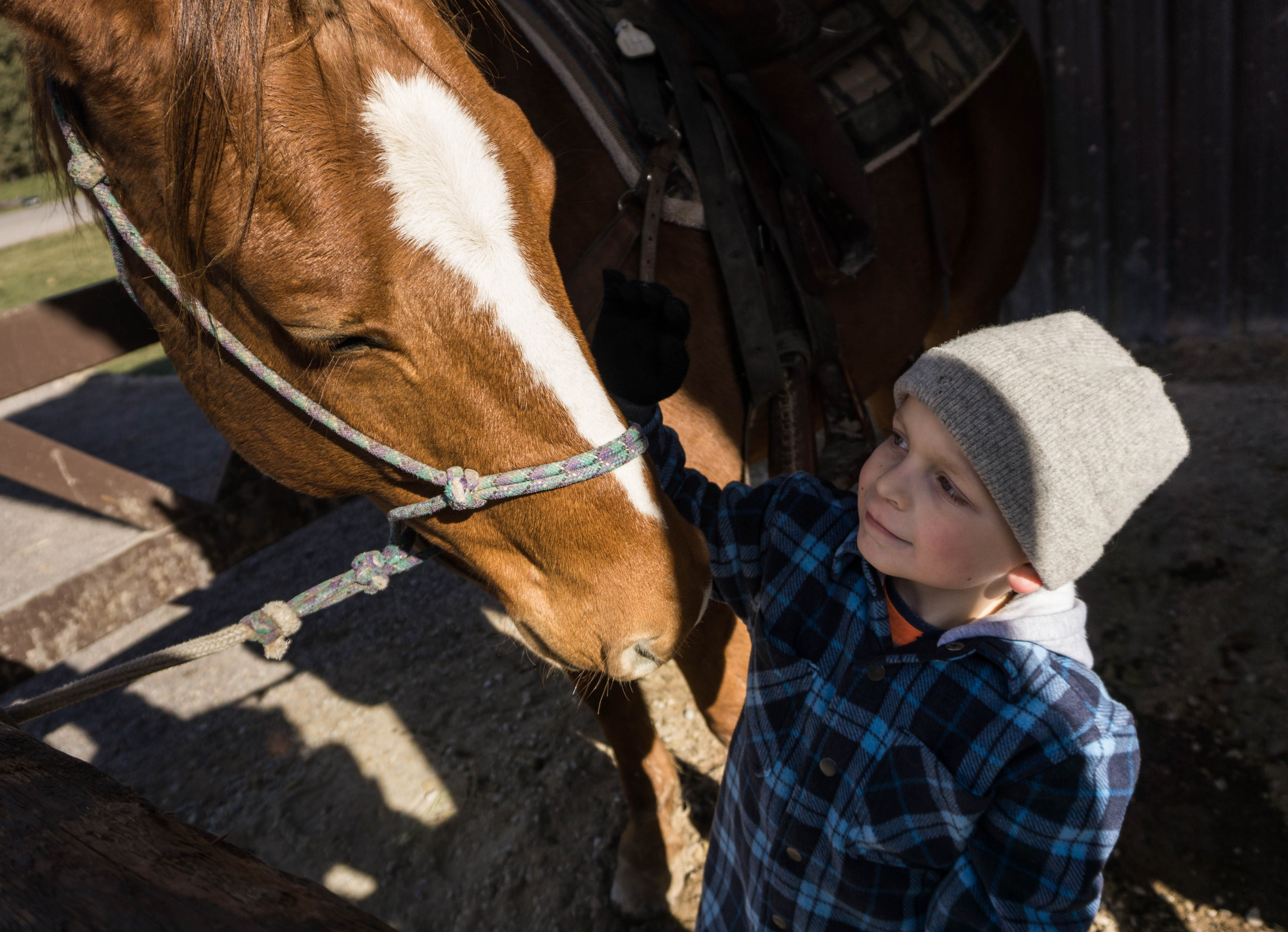 Just a Boy and His Horse | Lasting Connections