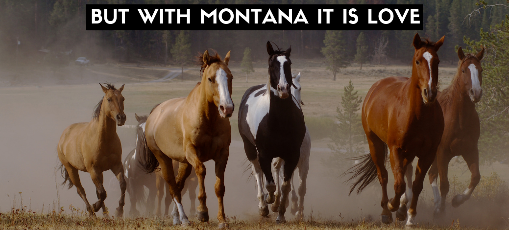 But with Montana it is love