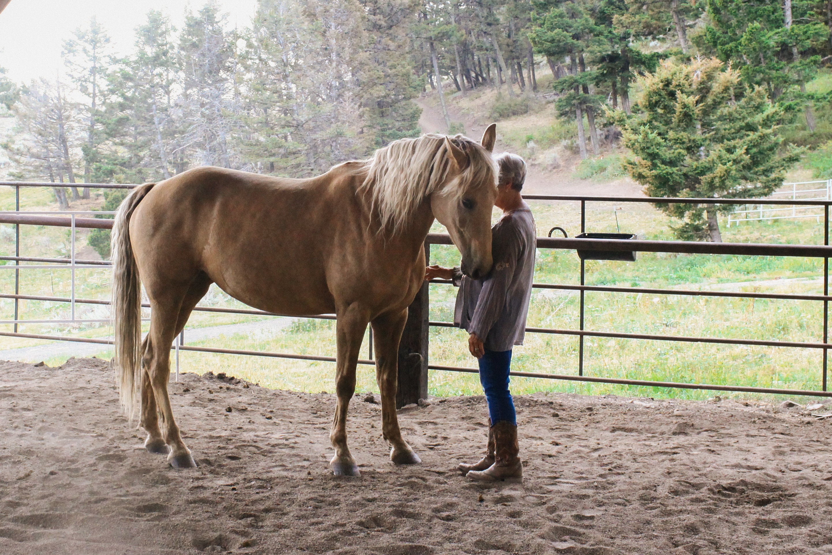 The connection you build with your horse is priceless.