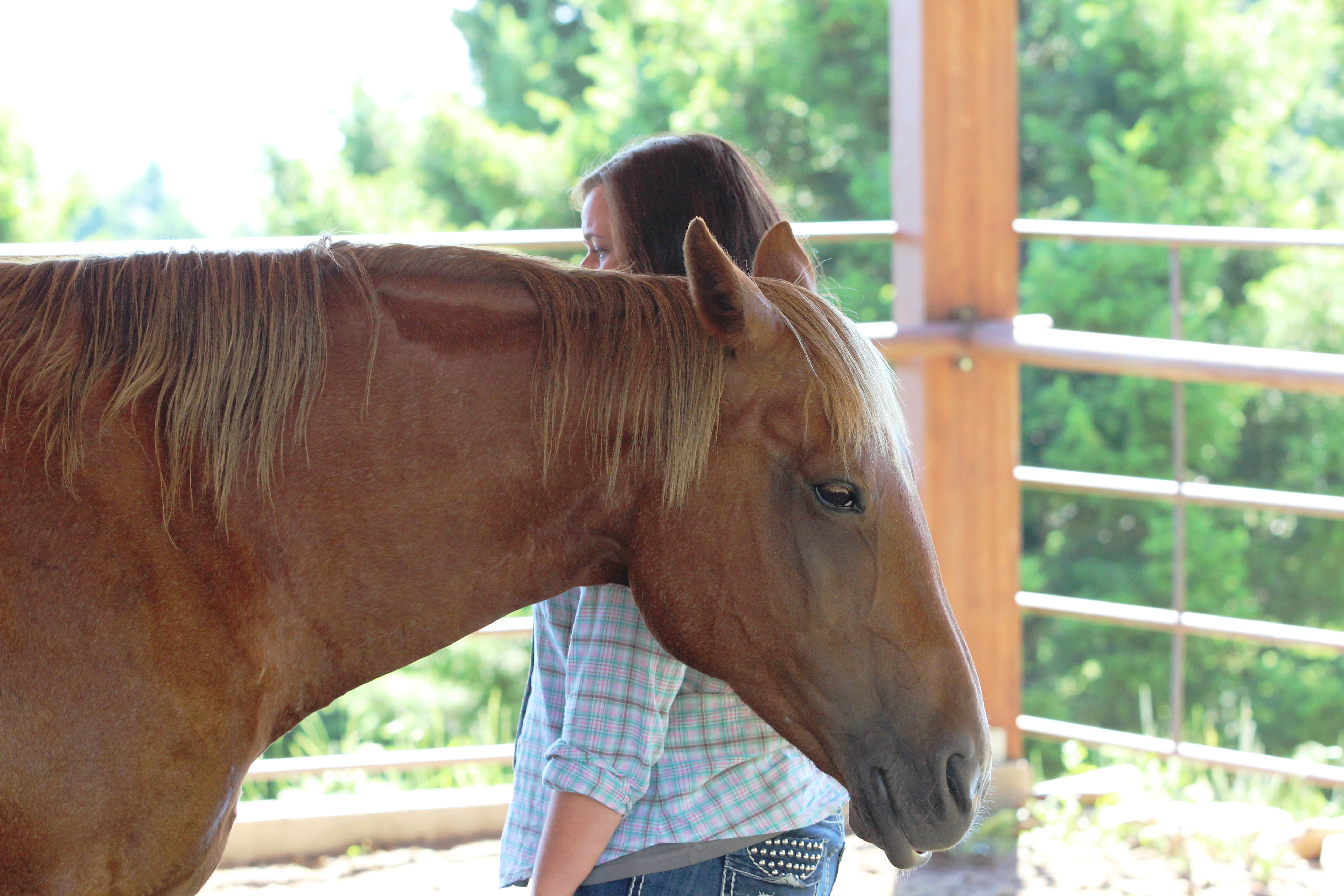 Looking for a shift in perspective? Our cowgirl retreats might be what you are looking for.