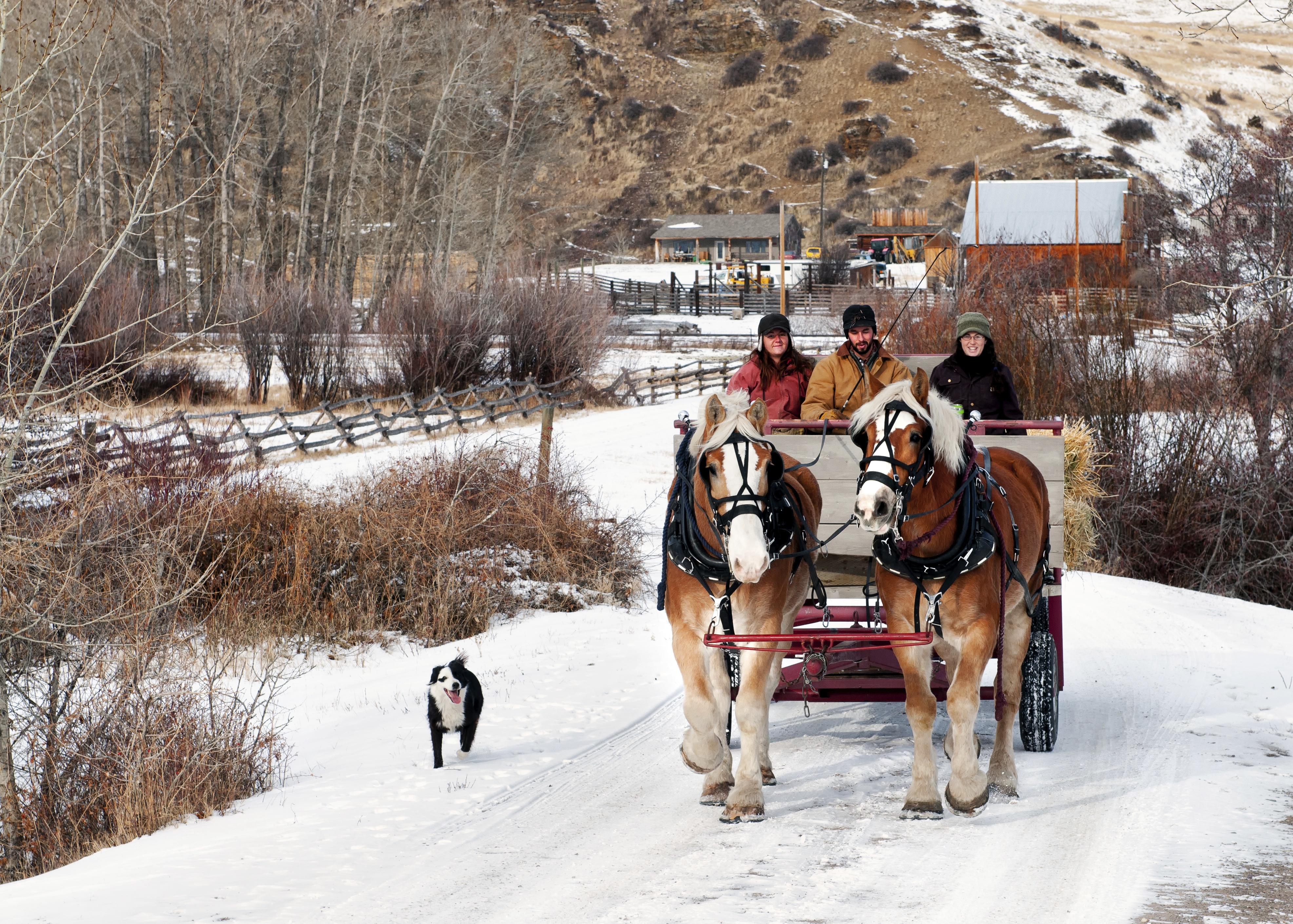 Winter has not left Montana!