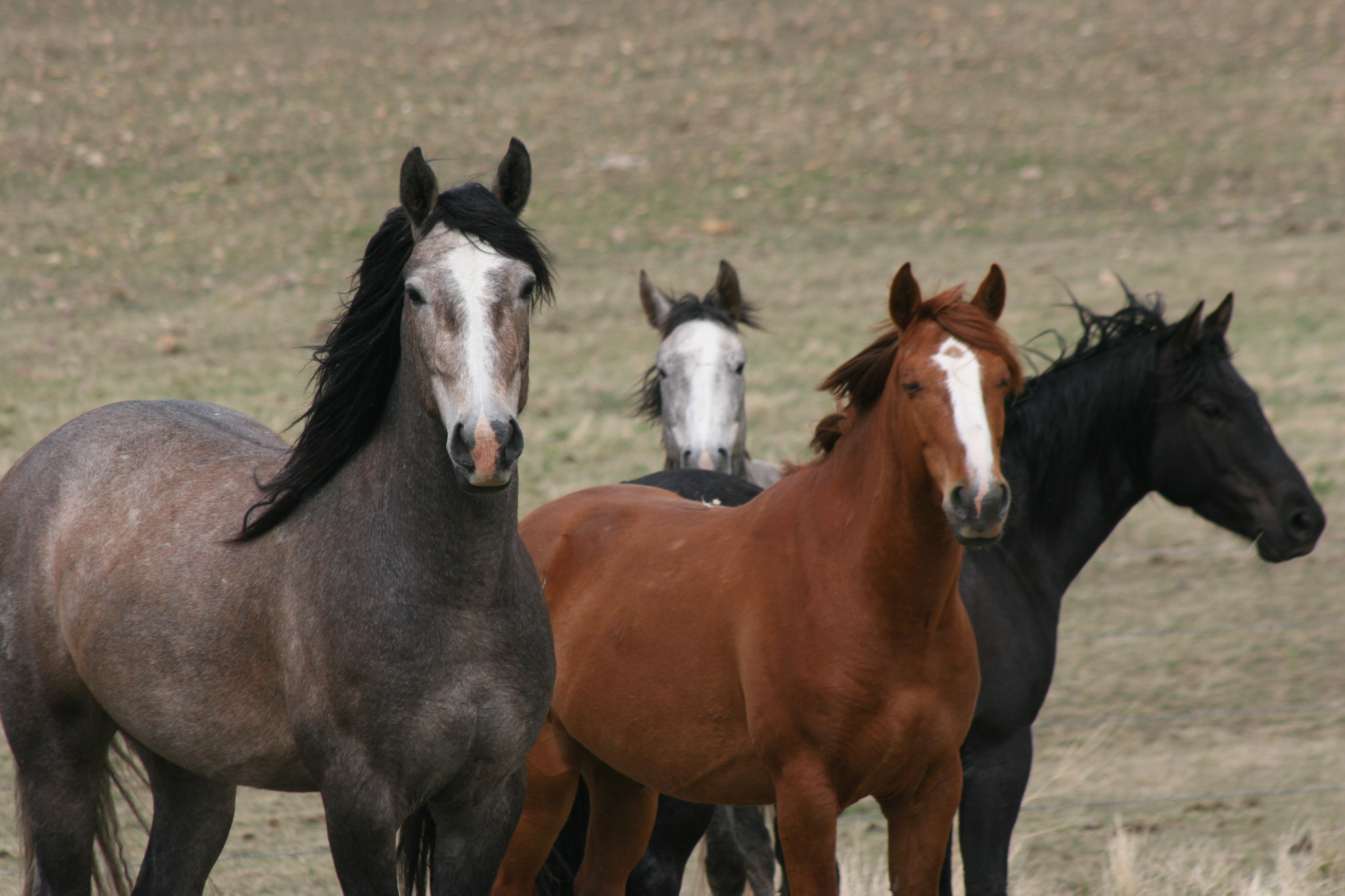 Spring chores have commenced on our member ranches!