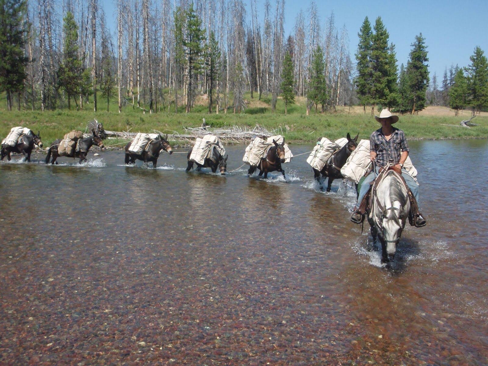 Packing at Rich's Montana Guest Ranch