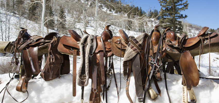 seven leather saddles