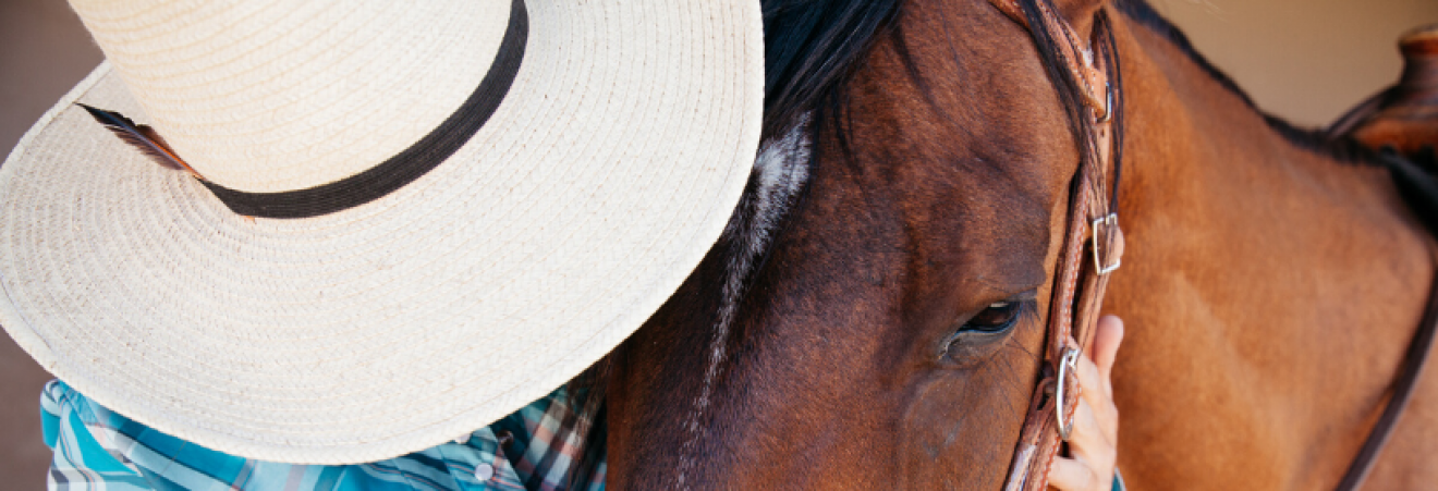 A Tip of the Hat - Montana Dude Ranchers' Association