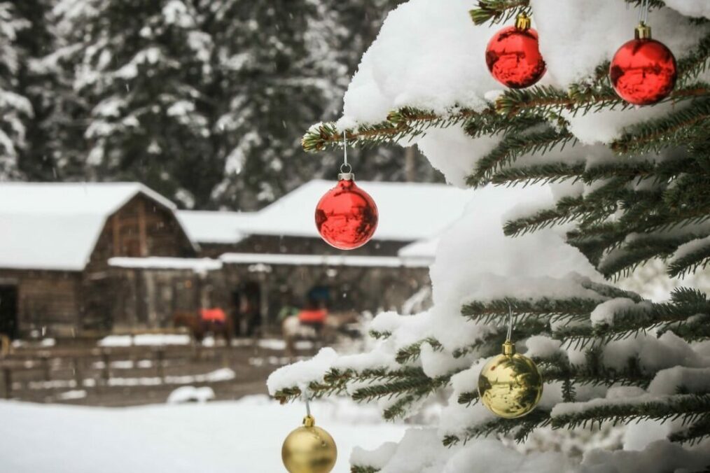 Christmas ornaments on tree in front of barn