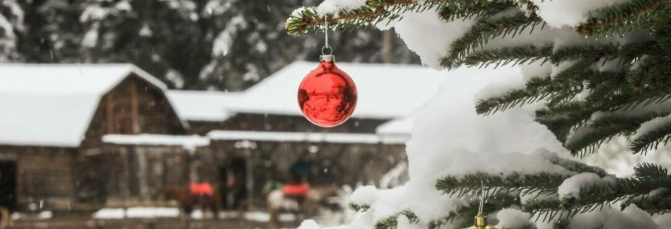 Christmas ornaments on tree in front of barn